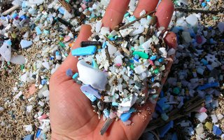 Close up of microplastics found on beach.